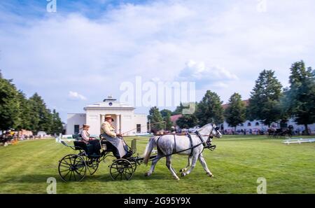 Redefin, Allemagne. 24 juillet 2021. Après un concert, les spectateurs assistent à un spectacle équestre devant la salle d'équitation au niveau du goujon de l'État. Après une pause forcée due à corona l'année dernière, les concerts du festival auront lieu à nouveau dans des conditions de protection de corona. Au total, quatre concerts seront donnés dans la salle d'équitation de la ferme classique de Stud ce week-end. Un maximum de 1250 auditeurs sont admis. Avant le concert, il y avait le traditionnel pique-nique en plein air et un spectacle de chevaux à regarder. Credit: Jens Büttner/dpa-Zentralbild/dpa/Alay Live News Banque D'Images