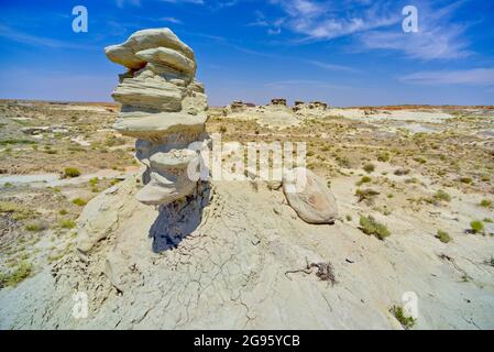 Champ de Hoodoos dans le jardin de Goblin dans les hauts plats de Petrified Forest National Park Arizona. Banque D'Images