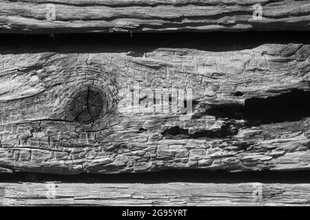 Rendu noir et blanc monochrome d'une section de bois vieilli lors d'une journée ensoleillée. Pour les intempéries, l'ancien, la texture du bois de gros plan. Banque D'Images