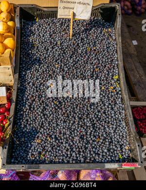 Bleuets exposés sur le marché de Sennoy, le moins cher de Saint-Pétersbourg, en Russie Banque D'Images