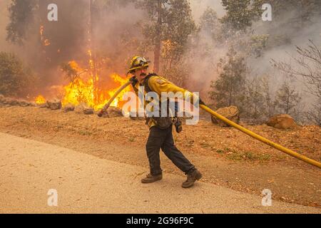 Un pompier CalFire prépare un tuyau pour défendre une maison à Boulder Creek, en Californie, alors que le complexe CZU Wildfire brûle à travers la ville. Banque D'Images
