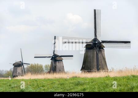 Trois moulins à vent sur le Noordschermerdijk, Oterleek, Rutenburg, photographiés du Molendijk. D'avant en arrière : Strijkmolen L, Strijkmolen K, Strijkmo Banque D'Images