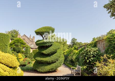 Des plantes aux formes fantastiques dans le plus ancien parc topiaire du monde, le Levens Hall de Cumbria, Royaume-Uni. Banque D'Images