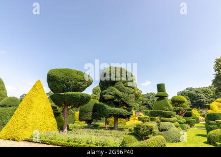 Des plantes aux formes fantastiques dans le plus ancien parc topiaire du monde, le Levens Hall de Cumbria, Royaume-Uni. Banque D'Images