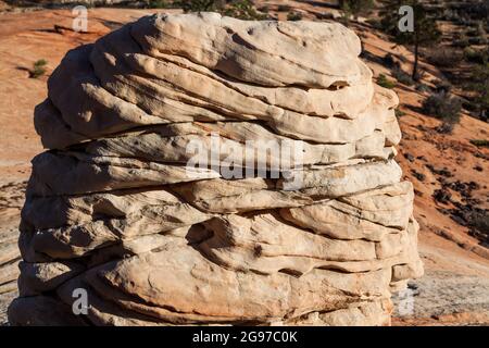 Une grande formation de roche de grès hoodoo avec des couches tourbillonnantes de sable ancien qui a été érodée pendant des milliers d'années dans le parc national de Zion, Utah. Banque D'Images