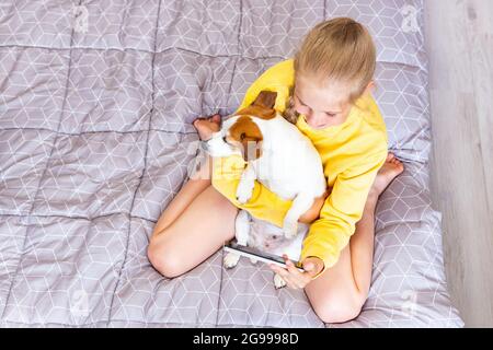 Une adolescente avec un téléphone mobile, embrassant un chien Jack Russell Terrier, communique sur les réseaux sociaux ou via Zoom avec des amis ou la famille, fait un Banque D'Images