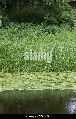 Lacs de campagne anglaise Banque D'Images