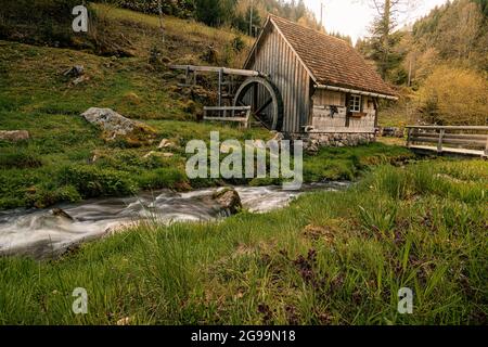 Une vue panoramique sur une ancienne maison en bois dans la forêt à côté d'une petite rivière Banque D'Images