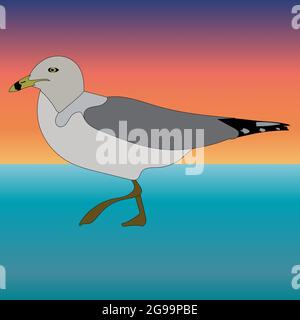 Représentation graphique d'un mouette à anneau pour utilisation en tant que décoration web ou icône Banque D'Images