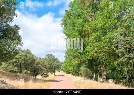 Via Verde dans le nord de la montagne de Séville, Andalousie, Espagne Banque D'Images