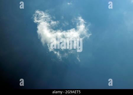 Un morceau de nuage blanc isolé ou déchiré dans le ciel bleu foncé royal pur Banque D'Images