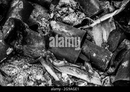 Brûlage de déchets sur un feu de camp contenant des boîtes de conserve métalliques Banque D'Images