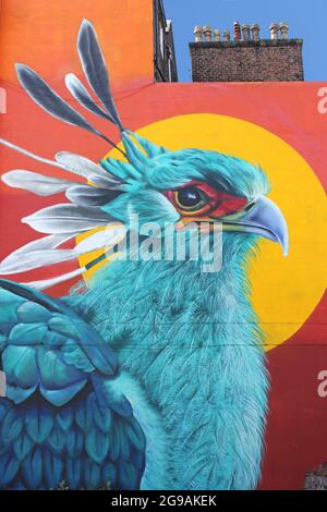 Foie oiseau / Secrétaire oiseau mural Banque D'Images