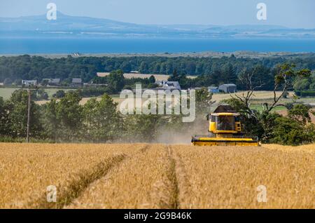 Byres Farm, East Lothian, Écosse, Royaume-Uni, 25 juillet 2021. Météo au Royaume-Uni: Récolte d'orge d'hiver: Le récent temps sec a permis à un agriculteur de commencer tôt la récolte. Photo : une moissonneuse-batteuse New Holland au travail avec vue sur Firth of Forth et Lomond Hills au loin Banque D'Images