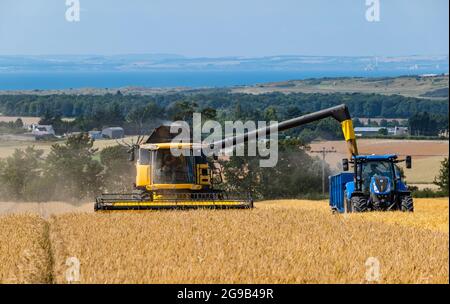 Byres Farm, East Lothian, Écosse, Royaume-Uni, 25 juillet 2021. Météo au Royaume-Uni: Récolte d'orge d'hiver: Le récent temps sec a permis à un agriculteur de commencer tôt la récolte. Photo : une moissonneuse-batteuse New Holland au travail remplit une remorque de tracteur Banque D'Images