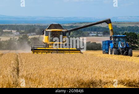 Byres Farm, East Lothian, Écosse, Royaume-Uni, 25 juillet 2021. Météo au Royaume-Uni: Récolte d'orge d'hiver: Le récent temps sec a permis à un agriculteur de commencer tôt la récolte. Photo : une moissonneuse-batteuse New Holland au travail remplit une remorque de tracteur Banque D'Images