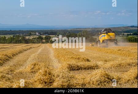Byres Farm, East Lothian, Écosse, Royaume-Uni, 25 juillet 2021. Météo au Royaume-Uni: Récolte d'orge d'hiver: Le récent temps sec a permis à un agriculteur de commencer tôt la récolte. Photo : une moissonneuse-batteuse New Holland au travail avec vue sur Firth of Forth et Lomond Hills au loin Banque D'Images
