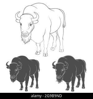 Ensemble d'images vectorielles noir et blanc avec un bison. Illustration de Vecteur