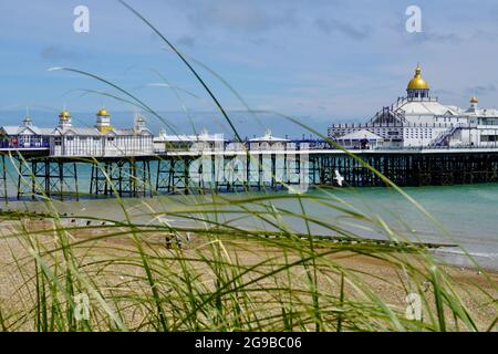 Vue sur la jetée d'Eastbourne depuis la plage. Des herbes de maram soufflent au premier plan au bord de la plage. Banque D'Images