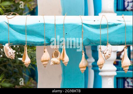 décoration de magnifiques coquillages qui pendent sur une chaîne de guirlandes, sur un faisceau bleu sculpté sur un fond de colonnes blanches et bleues dans un ga tropical Banque D'Images