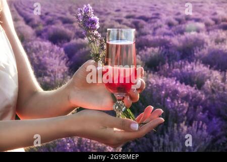 Une fille pique-nique dans le champ de lavande de Provence avec un verre de vin français rose et un bouquet de lavande entre ses mains au coucher du soleil. Lavande en pleine croissance Banque D'Images