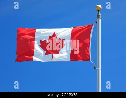 Drapeau canadien agitant dans le vent Banque D'Images