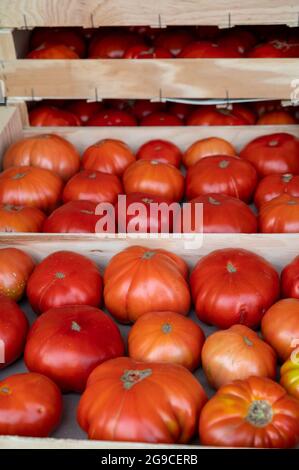 De savoureuses grosses tomates mûres françaises dans des boîtes en bois sur le marché des agriculteurs en Provence en été Banque D'Images