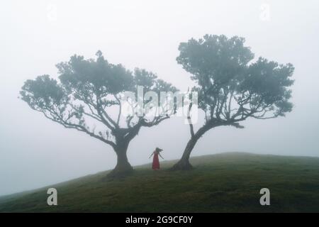 Une jeune femme en robe rouge dansant entre les arbres dans une forêt mystique. Forêt de Moody Fanal à Madère Banque D'Images
