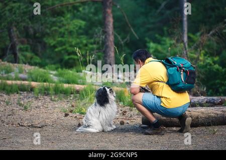 Marche avec un chien dans une forêt de conifères. Vue latérale de l'homme et beau chien terrier tibétain dans la forêt regardant les uns dans les autres les yeux. Banque D'Images