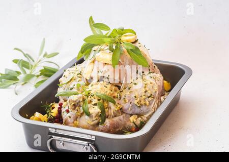 Farcir une dinde crue avec de la vinaigrette, prête à cuire pour Thanksgiving ou le dîner de Noël. Mise au point sélective, espace de copie Banque D'Images