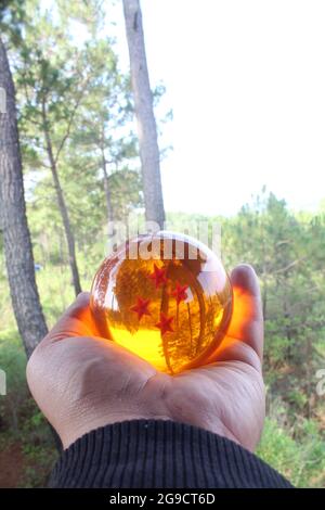 Une balle de dragon 4 étoiles dans une main Banque D'Images