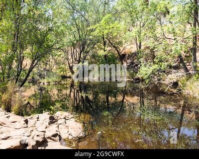 Réflexions d'arbres dans une piscine au-dessus de Bell gorge, Gibb River Road, Kimberley, Australie occidentale. Banque D'Images