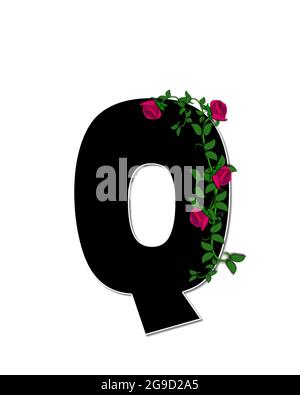 La lettre Q, dans l'ensemble d'alphabet 'Rose Trellis,' est noire avec un contour blanc. Les roses et les vignes poussent et s'étendent autour de la lettre. Banque D'Images