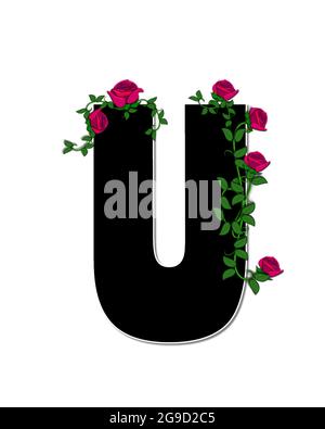 La lettre U, dans l'ensemble d'alphabet 'Rose Trellis,' est noire avec un contour blanc. Les roses et les vignes poussent et s'étendent autour de la lettre. Banque D'Images