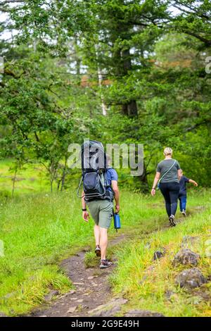 La famille d'une mère père et de deux enfants marche brusquement le long d'un sentier forestier sinueux, préférant les loisirs actifs dans la nature, le père porte un b Banque D'Images