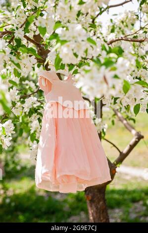 Petits et mignons vêtements roses. Heure d'été. Jardin de pommiers en fleurs. La robe est suspendue sur l'arbre. Modèles et jolis vêtements pour enfants. Sho vertical Banque D'Images