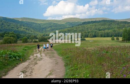 Sentier de randonnée menant à Tarnica, le plus haut sommet de la Bieszczady polonaise Banque D'Images