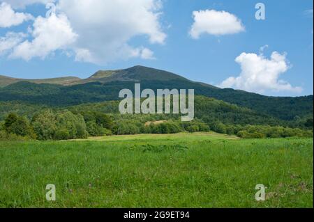 Sentier de randonnée menant à Tarnica, le plus haut sommet de la Bieszczady polonaise Banque D'Images