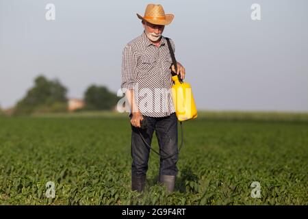 Agriculteur âgé marchant dans des usines de pulvérisation de pesticides. Homme portant un chapeau de paille tenant un pulvérisateur à pompe manuelle travaillant dans un champ de poivre. Banque D'Images