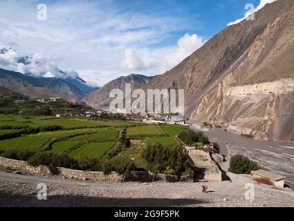 Le Nilgiri Himal au-dessus des champs en terrasse, Kagbeni, Mustang Banque D'Images