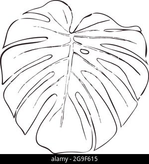 Ligne de feuille de Monstera. Dessin de contour. Décoration moderne. Illustration de Vecteur