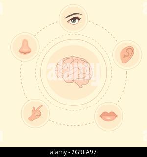 vecteur cinq sens icônes, nez humain, oreille, oeil et bouche illustration Illustration de Vecteur