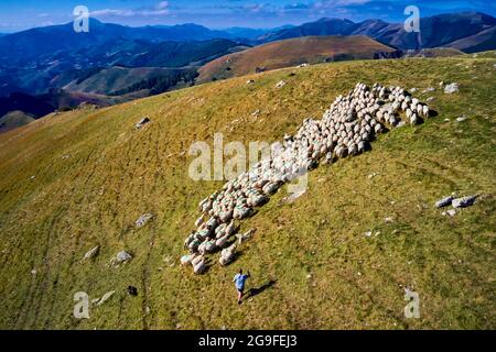 France, Pyrénées-Atlantiques (64), pays Basque, pays Quint, Mizu Monaco, shepherd et producteur de fromages Ossau-Iraty Banque D'Images