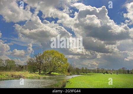 Rivière Stour près de Flatford, Suffolk, Angleterre Banque D'Images