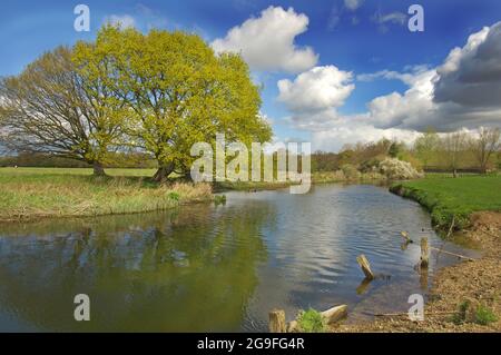 Rivière Stour près de Flatford, Suffolk, Angleterre Banque D'Images