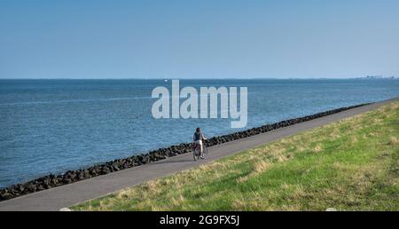 en été, une femme fait du vélo sur la digue de la mer de wadden, sur l'île hollandaise de texel Banque D'Images