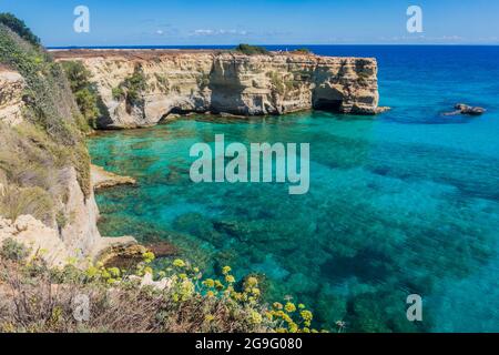 Torre Sant Andrea, côte de mer de Salento, Pouilles, Italie. Faraglioni Melendugno. Magnifique vue sur la mer rocheuse avec falaises de Puglia. Bleu turquoise eau claire saturée. Journée d'été. Vacances italiennes. Banque D'Images