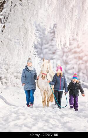 ARA-Appaloosa, Araloosa. Trois enfants mènent un cheval dans la neige. Autriche Banque D'Images