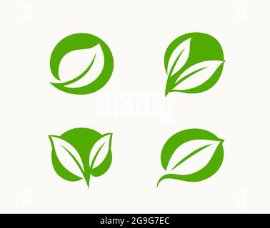 Icône ECO, feuille verte. Vecteur de symbole organique Illustration de Vecteur