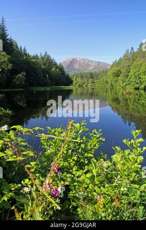 Meall Mor réflexions à Glencoe Lochan, Highlands, Écosse Banque D'Images